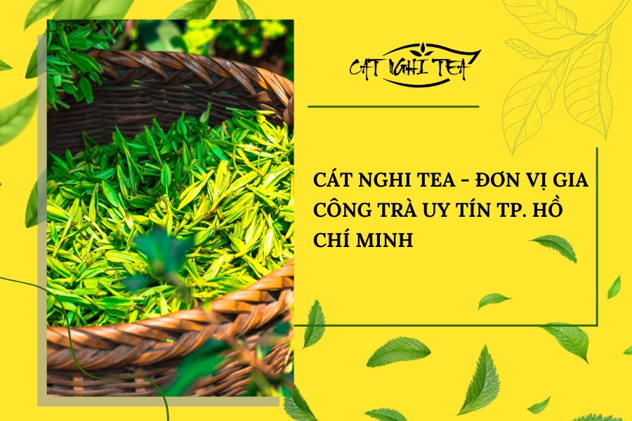 gia công trà